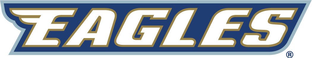 Georgia Southern Eagles 2004-Pres Wordmark Logo iron on transfers for T-shirts
